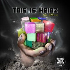 This is Heinz - Shady Lady (Album: October 29th 2014 Track 11)