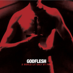 07. Godflesh - Carrion