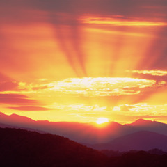 Holy Holy Holy WCAMEZ