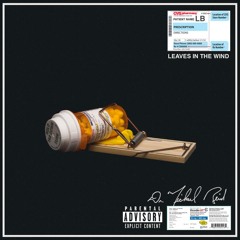 01 Leaves In The Wind