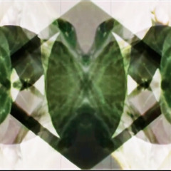 hailey x sierra count truckula adventurezzzz