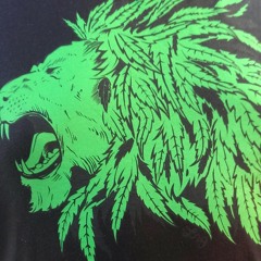 Y.G Kellz(crazy)snippet at Bronx ny Mott Haven#43rd