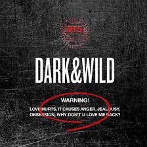 Rizal - Danger (BTS Cover)