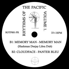 B2: Cloudface - Panter Bleu