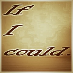 If I Could ft. Shawnna & J. Pilot