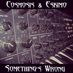Cosmosis & Eskimo - Something's Wrong [Free MP3 Download]