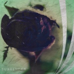 Surrender (Prod. By McCallaman)