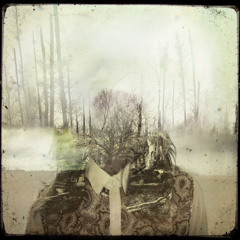 Adrijana - Take Me Back