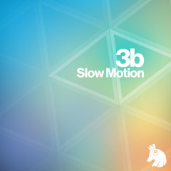 3b - Slow Motion