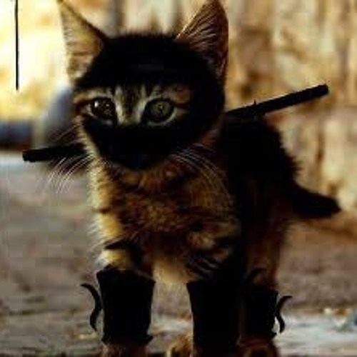 Thanks Ninja Cat