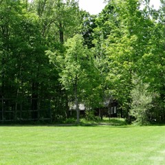 Golden Arrow - JM  Mp3