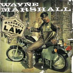 Wayne Marshal G - Spot Afro Bomb House Bootleg (Jay Goodman )