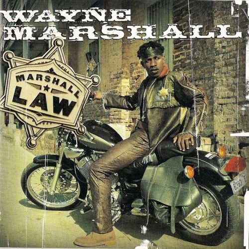 Wayne Marshal G - Spot Afro Bomb House Bootleg (Jay Goodman )