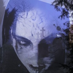WE ARE THE DEMONS