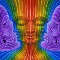 The Misfit Movement- Free Will