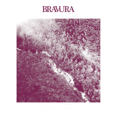 BRAV 005 - Slow Bodega 'Anaconda' PREVIEW (out 27/10/14)