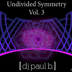 Undivided Symmetry Vol. 3
