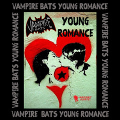 THE VAMPIRE BATS - Young Romance