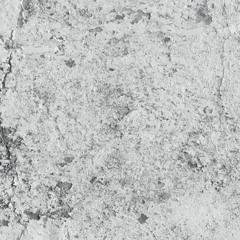 Ulaan Markhor "No Train Like Water"