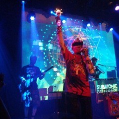 Subatomic Sound System live "Jah Vengeance" dub in Santa Cruz