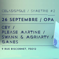 CEY @ Symetrie #2 By Celadopole, OPA, Paris, 260914