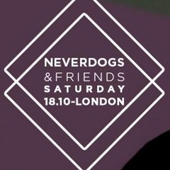 Reelow - Special Podcast for NEVERDOGS & FRIENDS Party 10.18 London // Birthday Mix 2014//
