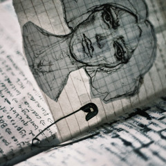 The letter from a gray city: Diary
