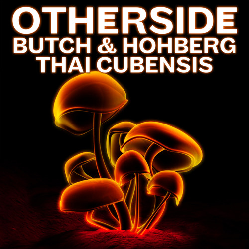 BUTCH & Hohberg - Thai Cubensis (Vinyl Speed Adjust Remix)[OTHERSIDE]
