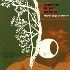 agora-sim-quem-mataram-meu-besouro