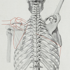 Shoulder Exploration