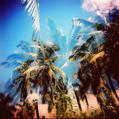 Trust Me (Original Mix)