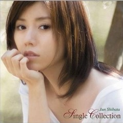 shibata jun