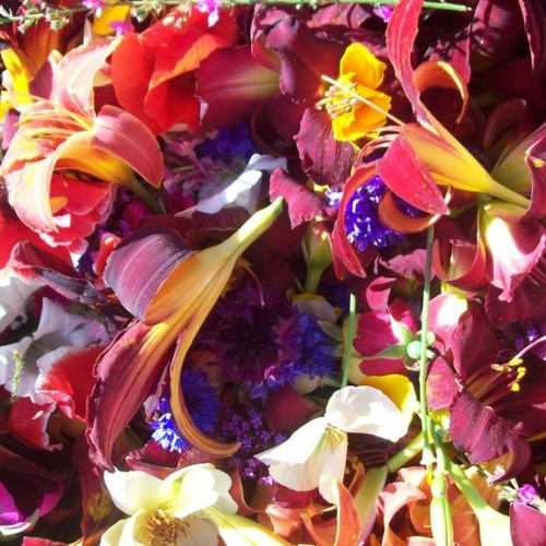 Prosperity flows from a generous attitude - A tantric invocation chant performed by Sascha & Rodrigo