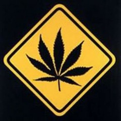 Skatz