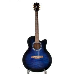 I Found This Guitar In The Trash