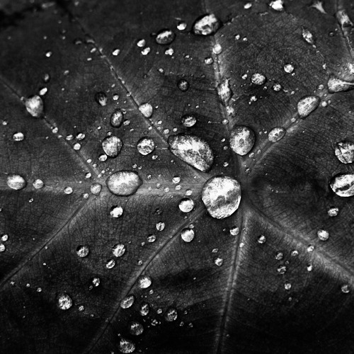 Maladies Of My Heart (Instrumental) - Asad Qazalbash