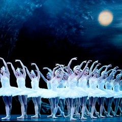 P.I TCHAIKOVSKY - Swan Lake PIANO