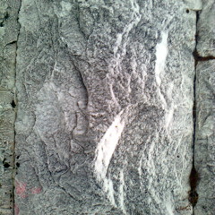 Anders Ilar - Crystal Alignment