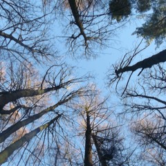 24th Caprice - Paganini