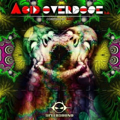 V.A. Acid Overdose compiled by 8 Bit
