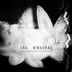 ENA - Nerve Fiber