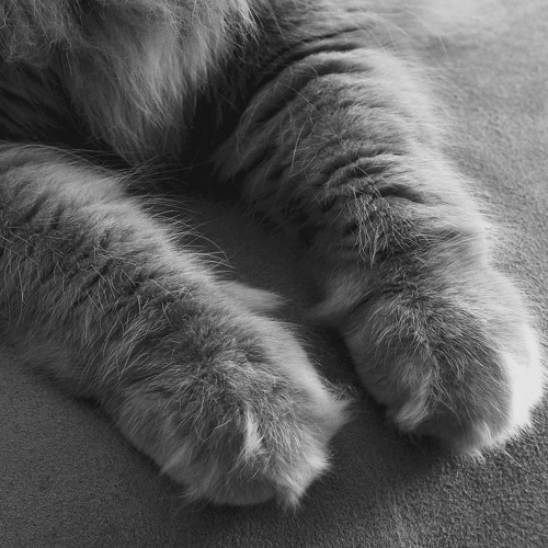 Cashmere Cat - Mirror Maru (Female Vocal Version)(Le`mon Version)