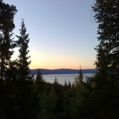 dark psy/Forest