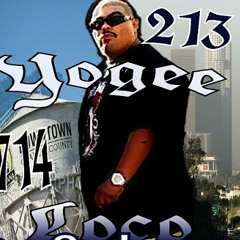 Yogee Loko's Greatest Hits