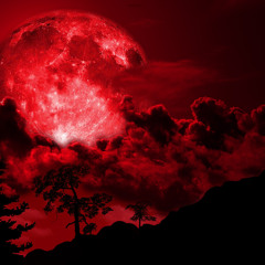 Noche Roja