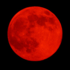 Symptomatic *Free Download*