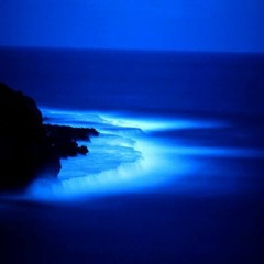 Johnson Master Theme