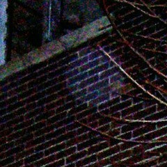 Rawkzilla Semi-Finals Set Intro ft EvilScience