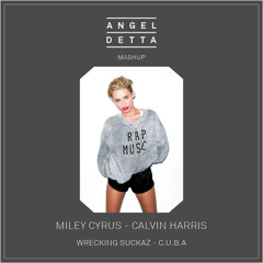 Wrecking Suckaz C.U.B.A (Mashup)