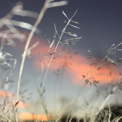 Ethereal space clouds of froth